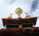 Limi Trek